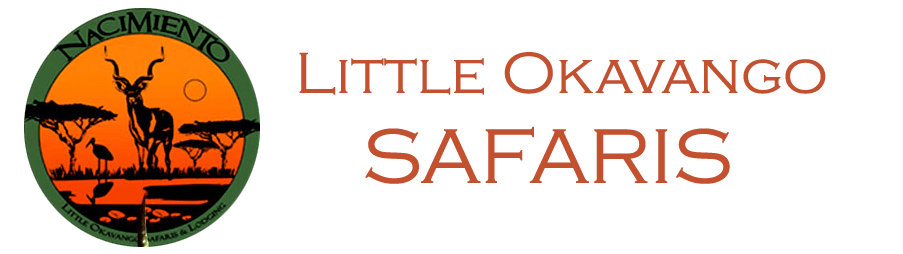 Little Okavango Safaris